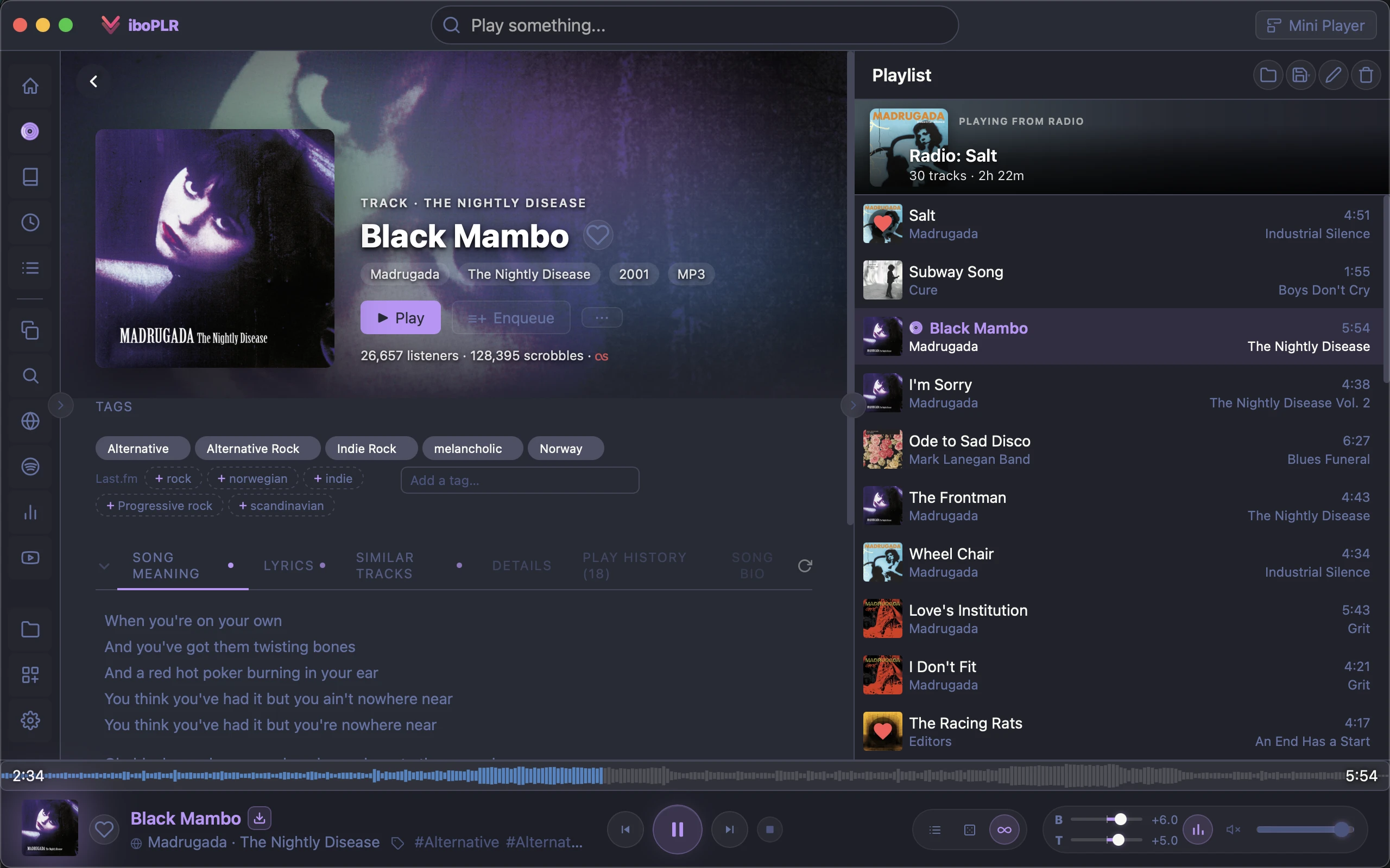 Viboplr track detail with a radio queue playing