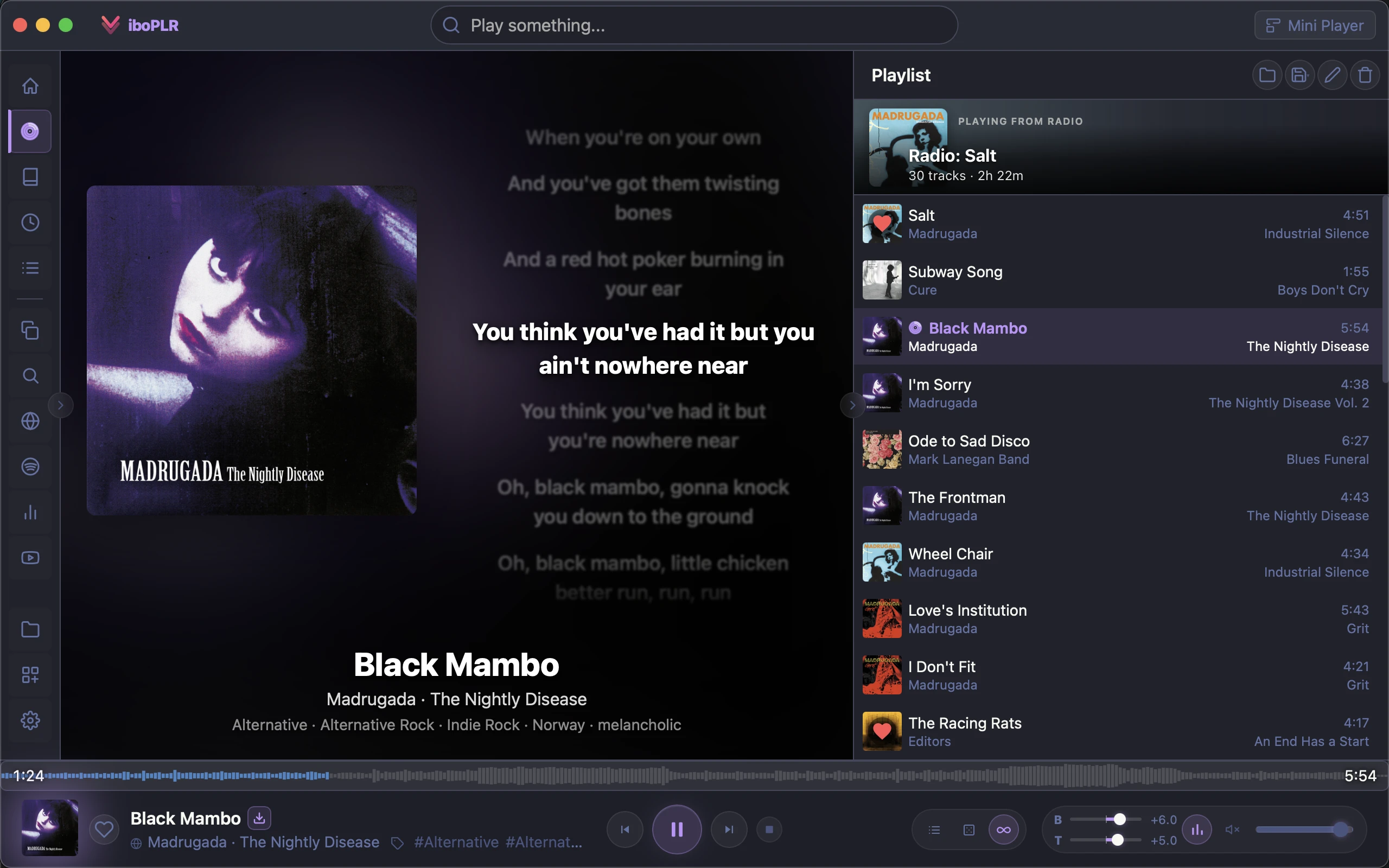 Viboplr now playing view with synced karaoke lyrics